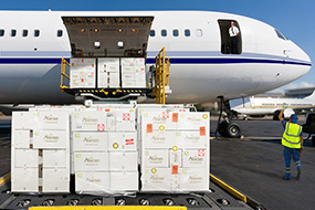 Cargo-Air-Plane
